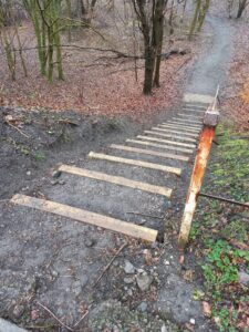 Improvements to stepped access in Blackley Forest secured by Walk Ride Blackley