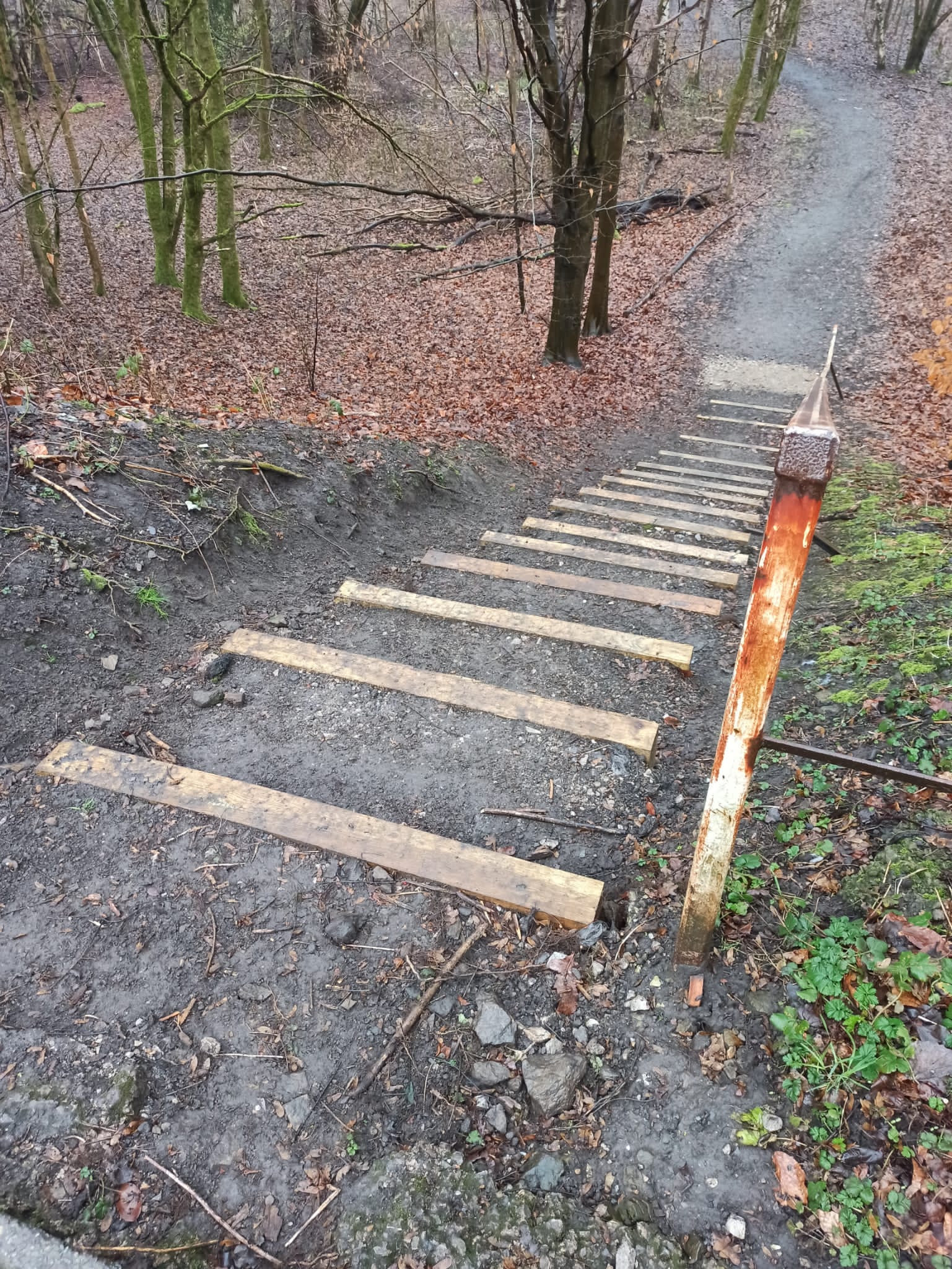 News: Walk Ride Blackley Helps Secure Safer Steps in Blackley Forest, Launches 20’s Plenty Petition for Blackley Village + More
